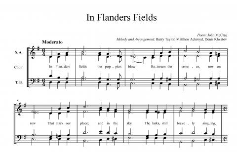 In Flanders Fields